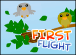First Flight - Boxshot