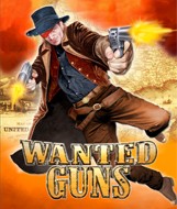 Wanted Guns - Boxshot