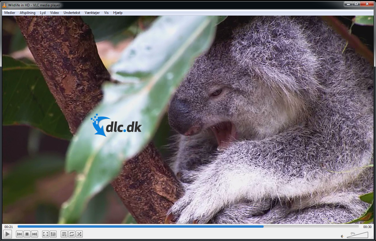 Screenshot af VLC Media Player