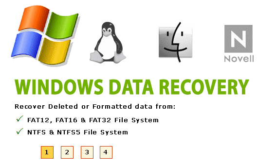 Screenshot af Windows Data Recovery Software