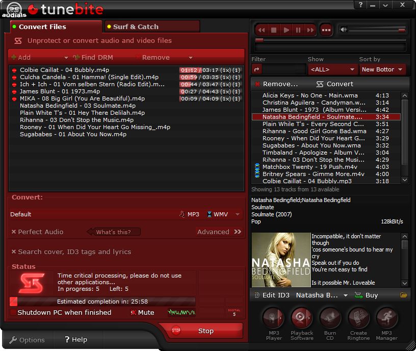 Screenshot af Tunebite Platinum