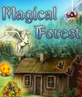 Magical Forest - Boxshot
