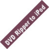 DVD Ripper To iPod - Boxshot