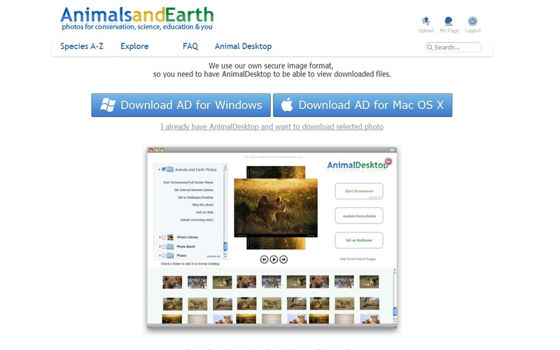 Screenshot af Animal Desktop til Mac