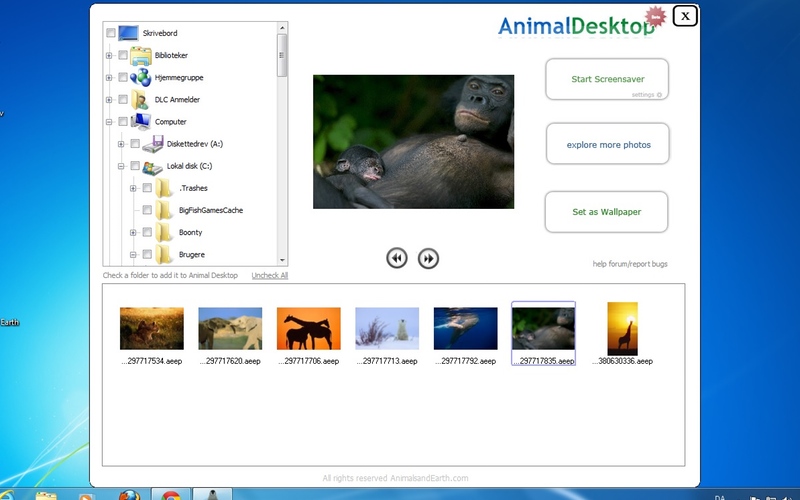 Screenshot af Animal Desktop til Mac