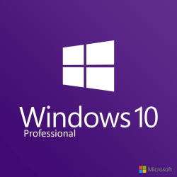 Windows 10 Professional - Boxshot