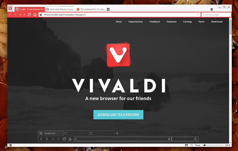 Screenshot af Vivaldi