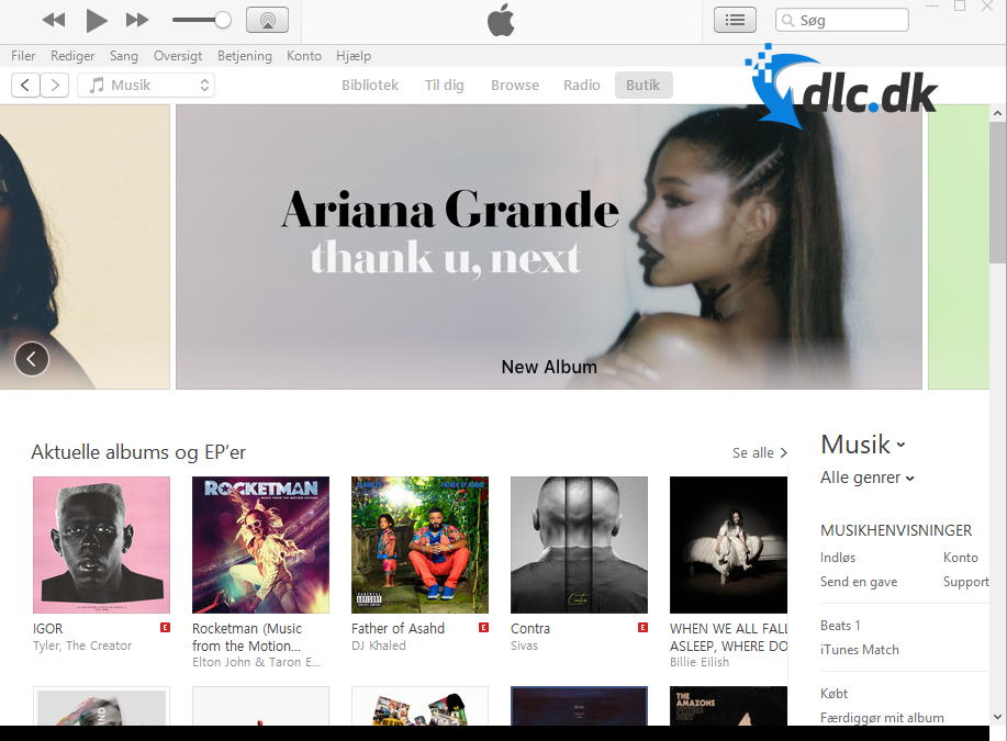 Screenshot af iTunes til Windows